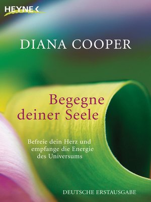cover image of Begegne deiner Seele